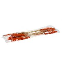Artikel Getrocknete Maiskolben am Stiel Orange 50–55cm 20 Stück