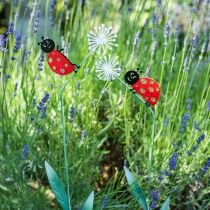 Dekostecker Marienkäfer, Frühlingsdeko, Pusteblume mit Käfer, Metallstecker L55cm 3er-Set
