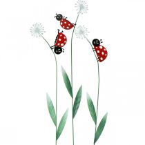 Dekostecker Marienkäfer, Frühlingsdeko, Pusteblume mit Käfer, Metallstecker L55cm 3er-Set