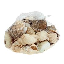 Maritim-Deko Muschelmix natur 400g