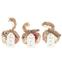 Artikel Maritime Deko Muscheln Mix im Netz Bunt 3,5-6cm 300g × 3St