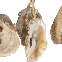 Artikel Holzhängedeko maritim aus Naturmaterialien mit Muscheln 50cm
