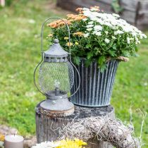 Metall-Laterne, LED-Lampe, Shabby Chic Ø16cm H33,5cm