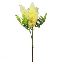 Artikel Kunstpflanze Silber-Akazie Mimose Gelb blühend 53cm 3 St