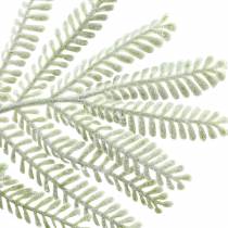 Artikel Dekozweig Mimose Grün mit Frosteffekt, 63 cm