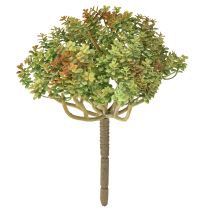 Artikel Mini Sukkulente künstlich Grün Kunstpflanze mit Stiel H23cm