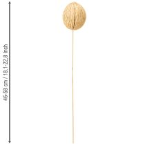 Artikel Trockenpflanze Mintolla Ball mit Stiel gebleicht 8–10cm, 6 Stück