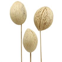 Artikel Mintolla Ball gebleicht 8cm - 10cm L46cm 6 St