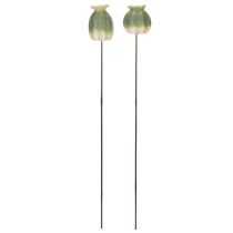 Artikel Mohnkapsel Deko Stab aus Keramik grün 41cm 4er Set für Garten und Wohnbereich