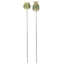 Artikel Mohnkapseln Gartenstecker Keramik und Metall Grün 60cm 2er-Set