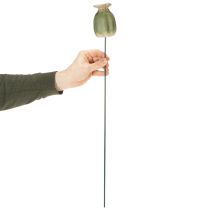 Artikel Mohnkapseln Gartenstecker Keramik und Metall Grün 60cm 2er-Set