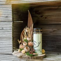 Mohnkapsel groß Trockenblumen Gelb Papaver Deko Mohn 5St
