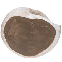 Artikel Dekogefäß Schneckenform aus Polyresin Grau-Gold 21x19x6cm