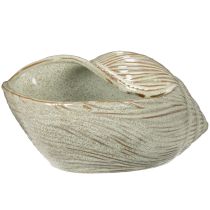 Artikel Keramikschale Seeschnecken-Design 23 cm grün-beige dekorativ