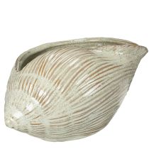 Artikel Keramikschale Seeschnecken-Design 23 cm grün-beige dekorativ