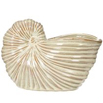 Artikel Keramik-Blumentopf Schneckenform 21cm Creme Braun für Innen- und Balkondekoration