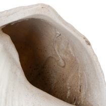 Artikel Dekorative Muschel aus Polystone 44 cm in Weiß-Braun mit Gold