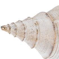 Artikel Dekorative Muschel aus Polystone 44 cm in Weiß-Braun mit Gold