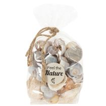 Artikel Natürliche Schnecken und Muscheln, 500g, Dekoset in Naturtönen, 3-6 cm, für Wohnraumdekoration