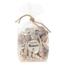 Artikel Natürliche Muscheln und Schnecken 500g, Maritime Dekoration, Beige und Sandtöne