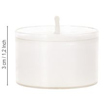 Artikel Teelichter Weiß mit Plastikschale Ø 3,8cm H 3cm 8 Stunden Brenndauer 50 Stück