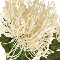 Artikel Künstliche Nadelkissenblume Leucospermum Creme 73 cm 3er-Set