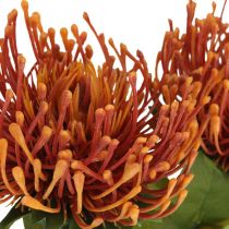 Artikel Künstliche Nadelkissenblume Leucospermum Orange 73 cm 3er-Set aus Kunststoff