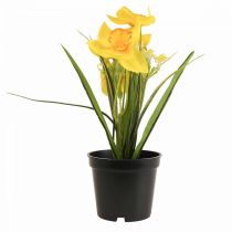 Narzisse im Topf Osterglocke Gelb Kunstblume H21cm