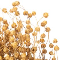 Artikel Getrockneter Flachs Natur 60cm 180g für Trockenfloristik