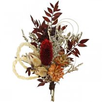 Artikel Grabdeko Trockenblumensträuße Ruscus Zapfen Creme 24 Stück