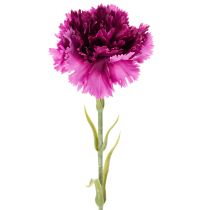 Artikel Nelke Kunstblume zweifarbig 56 cm Bund mit 8 Stielen aus Kunststoff