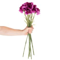 Artikel Nelke Kunstblume zweifarbig 56 cm Bund mit 8 Stielen aus Kunststoff