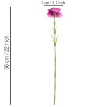 Artikel Nelke Kunstblume zweifarbig 56 cm Bund mit 8 Stielen aus Kunststoff