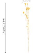 Artikel Nigella Trockenblumen Arrangement zur langfristigen Nutzung Eleganter Hingucker 70cm 50g