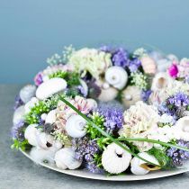 Artikel OASIS® Steckschaum Kranz Ring Grün H3cm Ø25cm 6 St