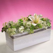 Artikel OASIS® Table Deco Mini Steckschaum 8 St