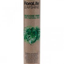 Artikel Oasis Floralife Blattglanz Blattglanzspray 750ml