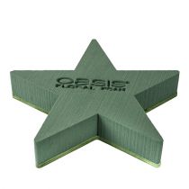 Artikel Nass-Steckschaum Stern mit Holzunterlage 25 x 25 x 4,5 cm Grün, 2 Stück