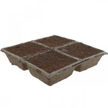 Artikel OASIS® TerraBrick™ Nachhaltige Steckmasse aus Kokosfaser 8 St