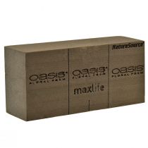 Oasis NatureSource Maxlife Steckschaum Ziegel Braun 23×11×7,5cm 1St