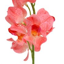 Artikel Orchidee Mokara Lachs 50cm 6 St