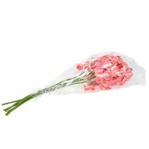 Artikel Orchidee Mokara Lachs 50cm 6 St