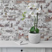 Orchidee Weiß auf Erdballen 65cm