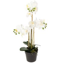 Artikel Künstliche Orchidee im Topf für ein harmonisches Ambiente weiß 60cm