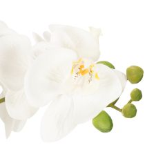 Artikel Künstliche Orchidee im Topf, weiß, 60 cm, Dekoration für Wohnräume
