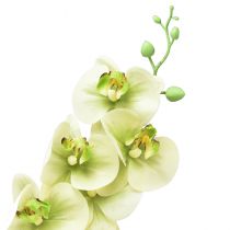 Artikel Orchidee Künstlich Gelb Grün Phalaenopsis L83cm