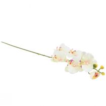 Artikel Orchidee Phalaenopsis künstlich 6 Blüten Creme Rosa 70cm