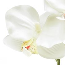 Artikel Orchidee Phalaenopsis künstlich 6 Blüten Weiß Creme 70cm