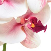 Artikel Orchidee Phalaenopsis künstlich 9 Blüten Weiß Fuchsia 96cm