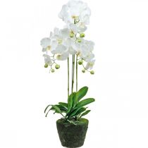 Artikel Künstliche Orchideen für den Topf Weiß 80cm